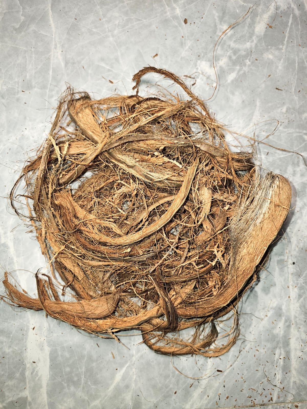 Coconut Fiber Export